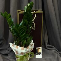 Изображение 6