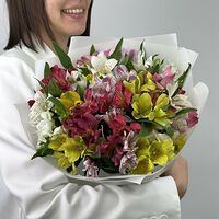 Изображение 3