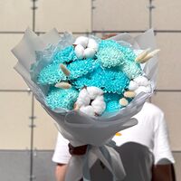 Изображение 5