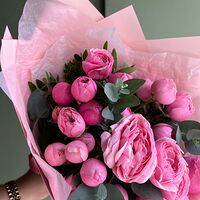 Изображение 3