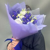Изображение 3