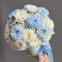 Изображение 3