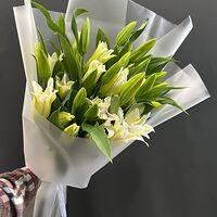 Изображение 5