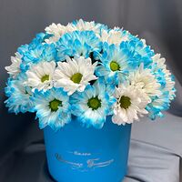 Изображение 5