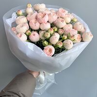 Изображение 7