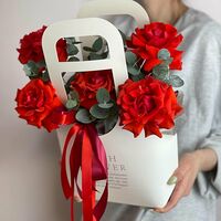 Изображение 2