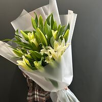 Изображение 3