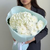 Изображение 8