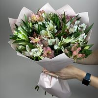 Изображение 6