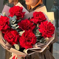 Изображение 5
