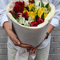 Изображение 1