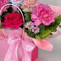 Изображение 2