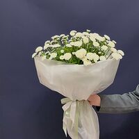 Изображение 8