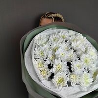 Изображение 9
