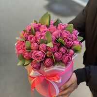 Изображение 3