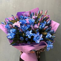 Изображение 1