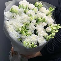 Изображение 2