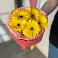 Изображение 3