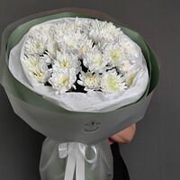 Изображение 8