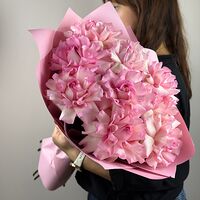 Изображение 5