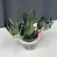 Изображение 6