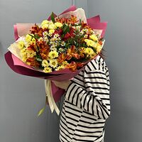 Изображение 4