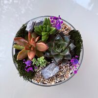 Изображение 7