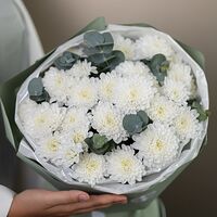 Изображение 8