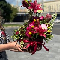 Изображение 2