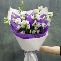 Изображение 3