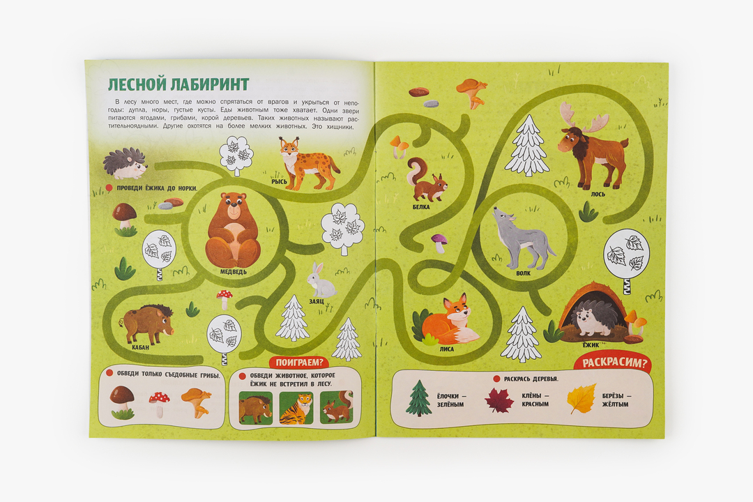 

Животные России. Моя большая страна. Борода Жанна