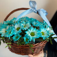 Изображение 5
