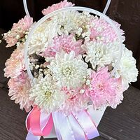 Изображение 3