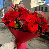 Изображение 4