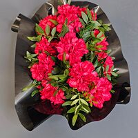 Изображение 4