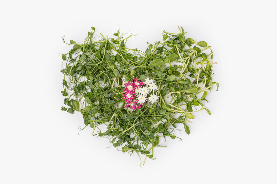 

Микс салатный Цветочное настроение 50 г