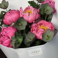 Изображение 4