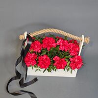 Изображение 3