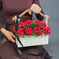 Изображение 5