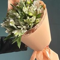 Изображение 3