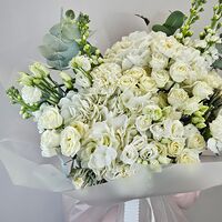 Изображение 5
