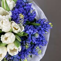 Изображение 2