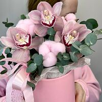 Изображение 3