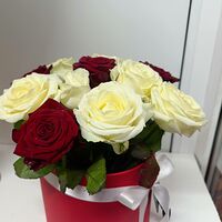 Изображение 2