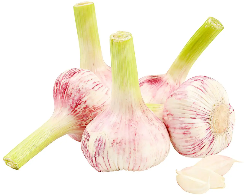 

Чеснок молодой вес