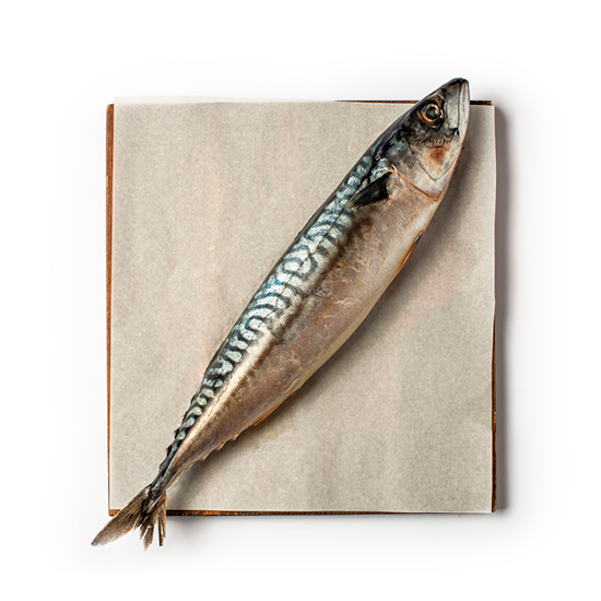 

Скумбрия для приготовления на гриле охлажденная вес