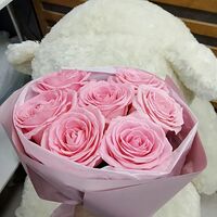 Изображение 2