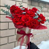 Изображение 2