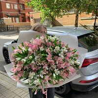 Изображение 2