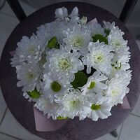 Изображение 2